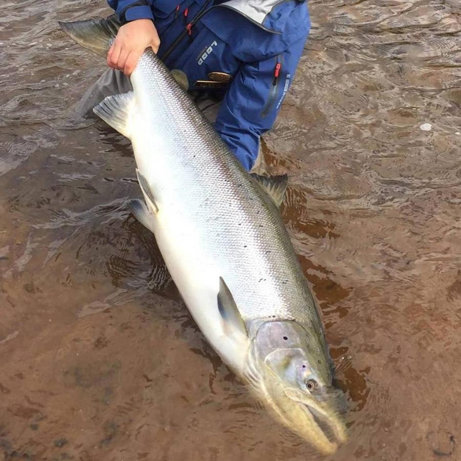 Jockfall Fishing And Activities - Oeverkalix Kültér fotó