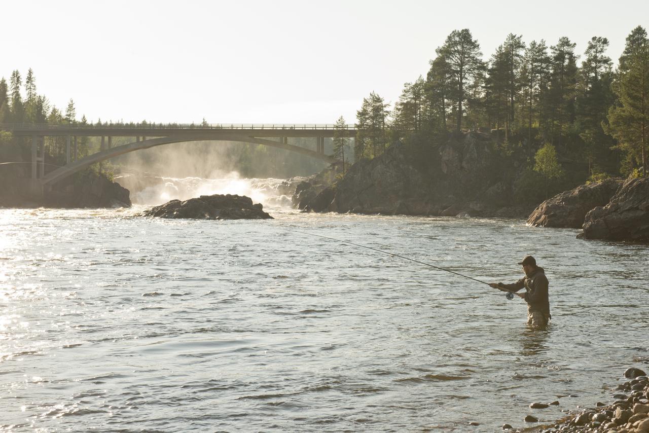 Jockfall Fishing And Activities - Oeverkalix Kültér fotó